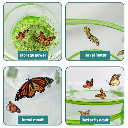 Pop-Up Butterfly Habitat Cage – 12" x 12" x 14" Green Mesh Insect Net with Double Zipper