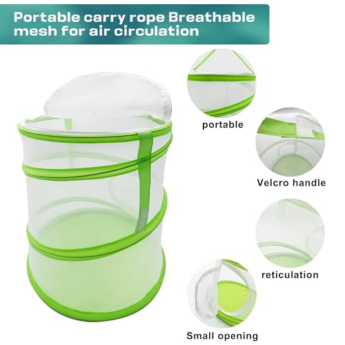 Pop-Up Butterfly Habitat Cage – 12" x 12" x 14" Green Mesh Insect Net with Double Zipper