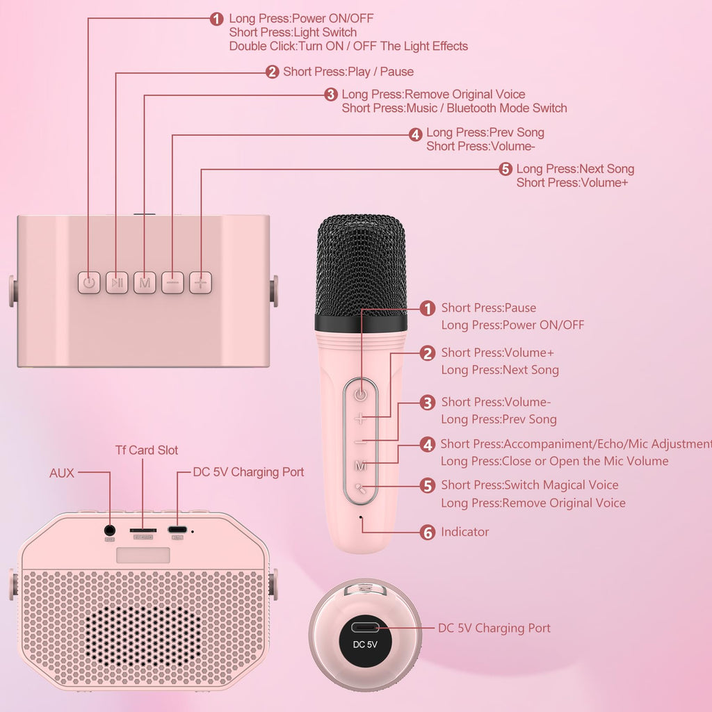 Portable Karaoke Machine for Kids & Adults – Bluetooth Speaker with Wireless Microphone, Pink
