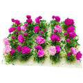 PrettyLife 20-Piece Miniature Rose Flower Clusters for Dollhouse, Fairy Garden, and Model Scenery