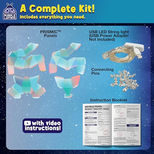 PURPLE LADYBUG 3D Heart Table Light DIY Kit for Kids 8+ – USB LED Lamp, Craft Gift for Tweens & Teens