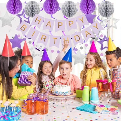 Purple & Silver Birthday Decoration Set - Banner, Honeycomb Balls, Streamers, Garland by meowtastic