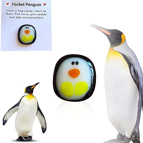 Qitiieli Mini Pocket Penguin Hug Set – 5-Pack Resin Stress Relief Toy with Encouragement Cards