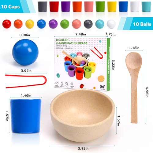 Rainbow Balls in Cups Montessori Sorting Toy with Spoon and Tongs - 10 Pieces for Toddlers