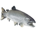 Real Planet Silver Trout Stuffed Animal - 14.25 Inch Lifelike Plush Fish Toy for Kids and Fishing Lovers