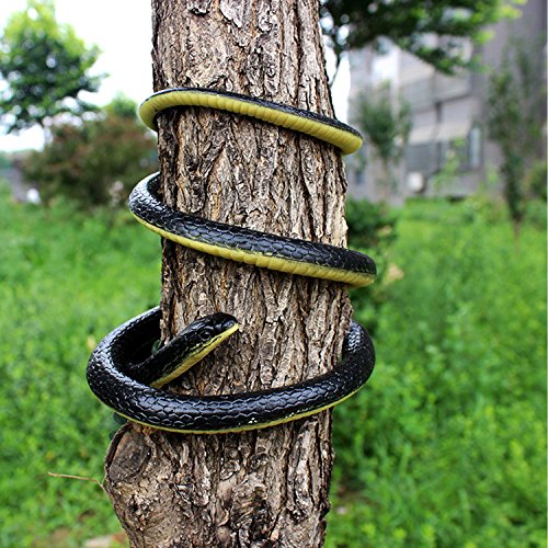 Realistic 49" Rubber Black Mamba 2-Pack – Coiled Fake Snake for Garden Deterrent, Prank Gags & Halloween Props