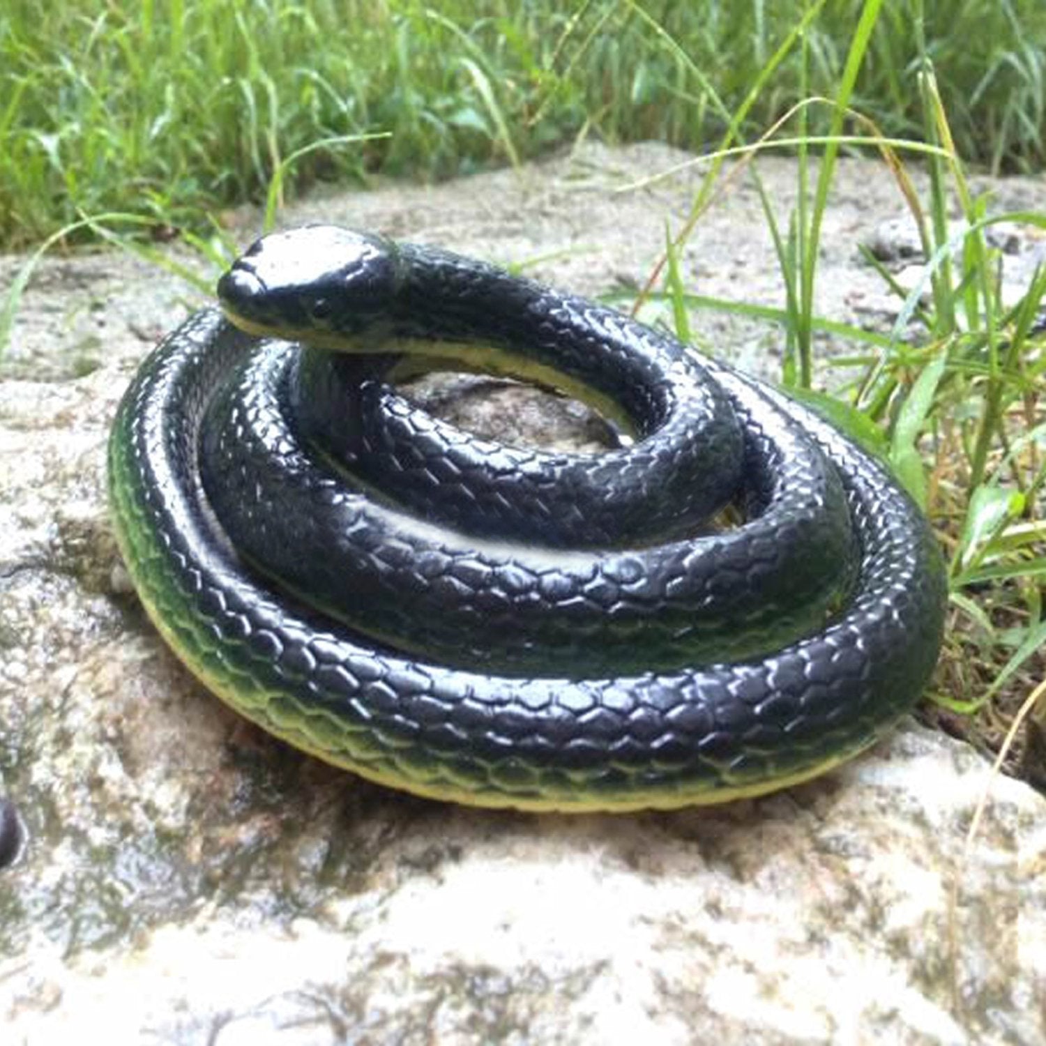 Realistic 49" Rubber Black Mamba 2-Pack – Coiled Fake Snake for Garden Deterrent, Prank Gags & Halloween Props