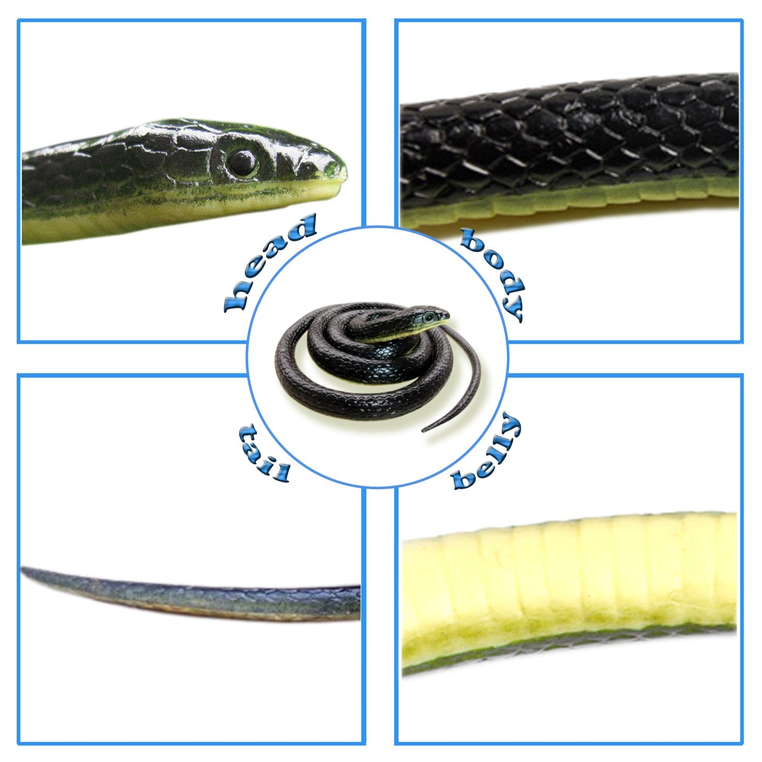 Realistic 49" Rubber Black Mamba 2-Pack – Coiled Fake Snake for Garden Deterrent, Prank Gags & Halloween Props