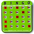 Regal Games Bulk Bingo Cards with Sliding Windows – 8 Pack, Green, Large Print for Adults