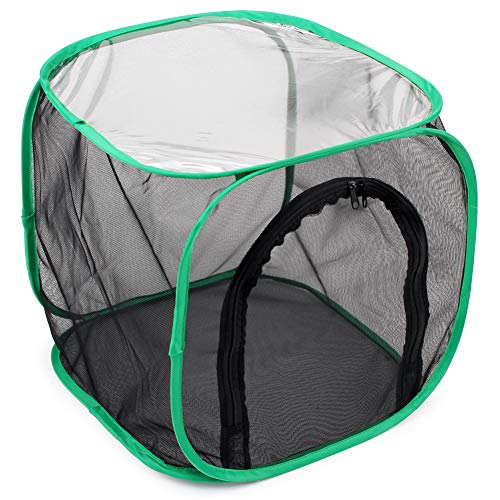 RESTCLOUD 12x12x12 Inch Pop-Up Butterfly Habitat Cage – Monarch & Insect Terrarium with Mesh Panels and Vinyl Window