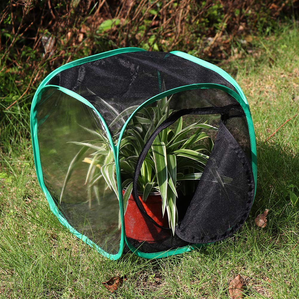 RESTCLOUD 12x12x12 Inch Pop-Up Butterfly Habitat Cage – Monarch & Insect Terrarium with Mesh Panels and Vinyl Window