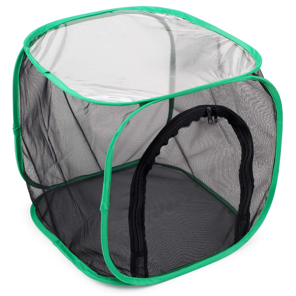 RESTCLOUD 12x12x12 Inch Pop-Up Butterfly Habitat Cage – Monarch & Insect Terrarium with Mesh Panels and Vinyl Window