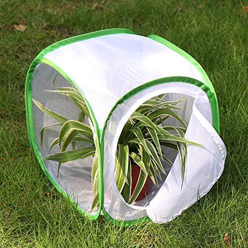 RESTCLOUD 12x12x12 Inch Pop-up Butterfly Habitat Cage with Mesh Panels