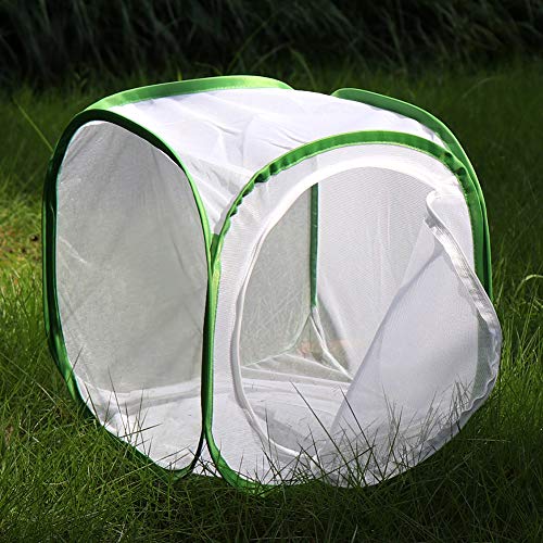 RESTCLOUD 12x12x12 Inch Pop-up Butterfly Habitat Cage with Mesh Panels