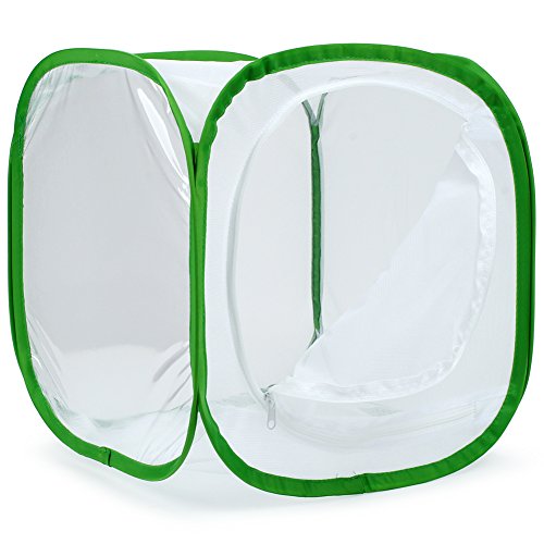 RESTCLOUD 12x12x12 Inch Pop-up Butterfly Habitat Cage with Mesh Panels