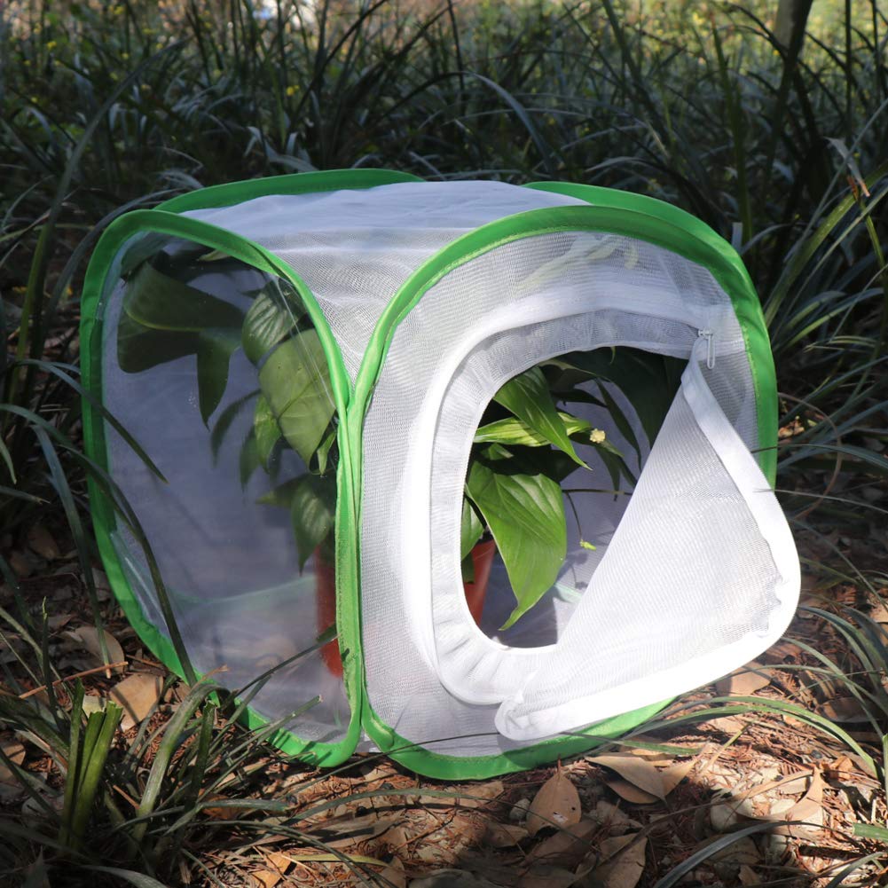 RESTCLOUD Insect and Butterfly Habitat Cage – 12" Pop-Up Terrarium with Zipper Protection