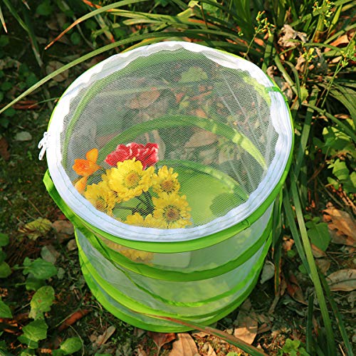 RESTCLOUD Pop-up Butterfly Habitat Cage – Clear Mesh Enclosure (9x11 Inches Tall)