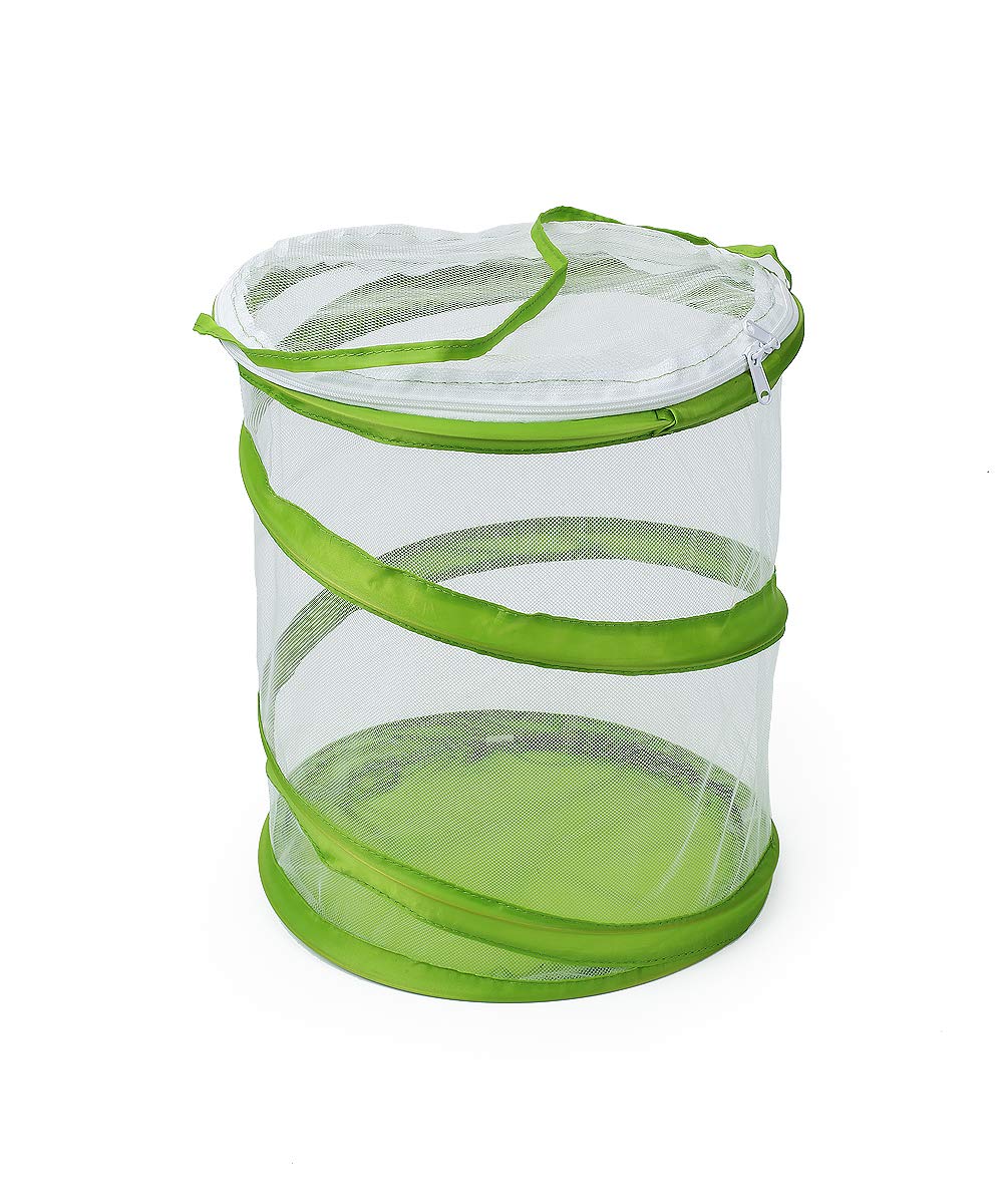 RESTCLOUD Pop-up Butterfly Habitat Cage – Clear Mesh Enclosure (9x11 Inches Tall)