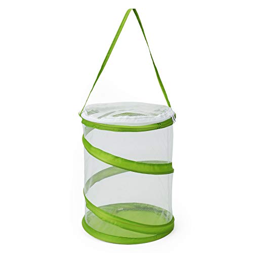 RESTCLOUD Pop-up Butterfly Habitat Cage – Clear Mesh Enclosure (9x11 Inches Tall)