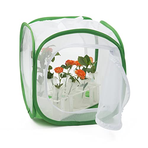 RESTCLOUD Two-Door Butterfly Habitat – 12x12x12 Pop-Up Mesh Cage with Clear Viewing Window