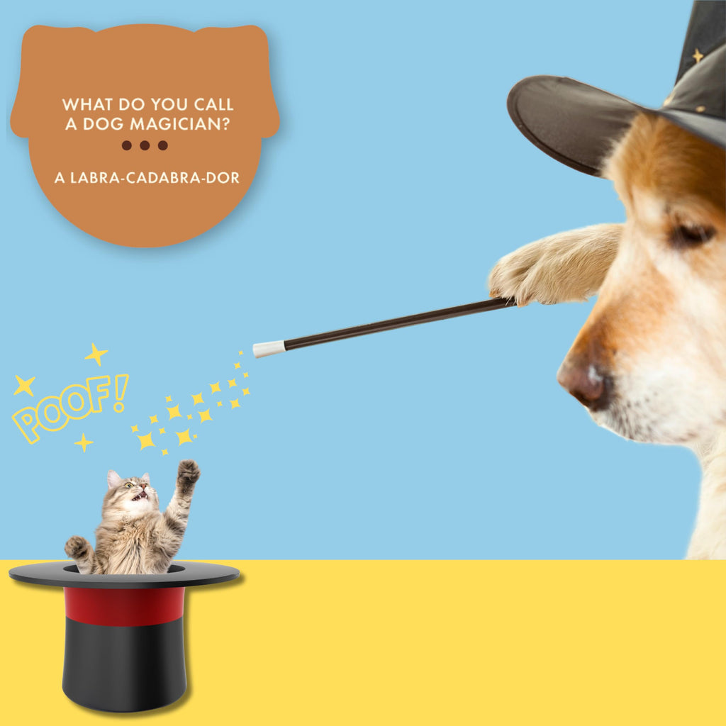 Ridley's 100 Dog Joke Cards – Hilarious Family-Friendly Jokes for All Ages