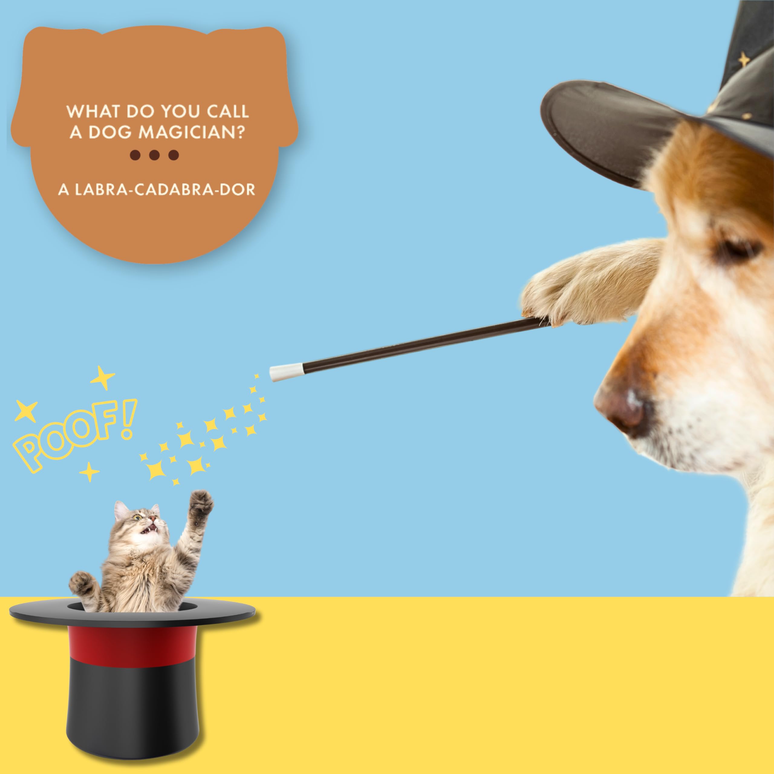 Ridley's 100 Dog Joke Cards – Hilarious Family-Friendly Jokes for All Ages