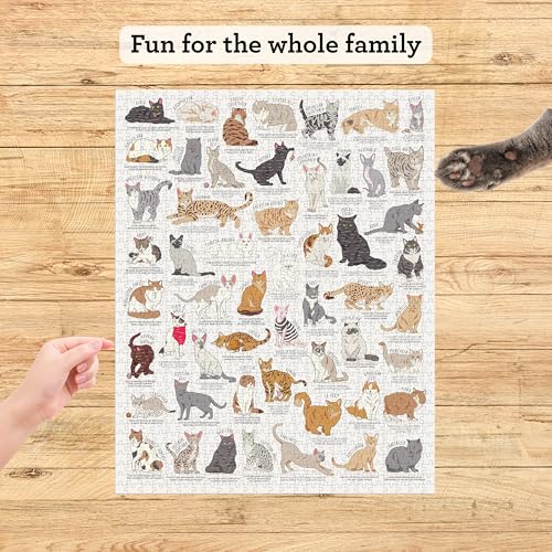 Ridley's 1,000-Piece Cat Lover's Jigsaw Puzzle – Learn 54 Cat Breeds, Includes Poster Guide, Sturdy Storage Tube, Finished Size 28" x 22"