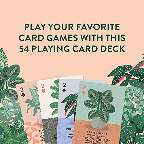 Ridley's Houseplants Playing Cards – 54 Unique Plant-Themed Cards in a Travel Tin