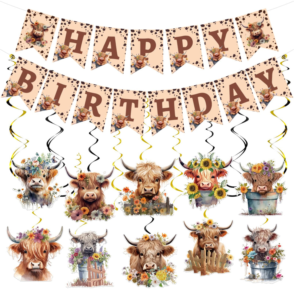 Rngmsi Highland Cow Birthday Decorations – 16-Piece Party Set with Banners and Swirls