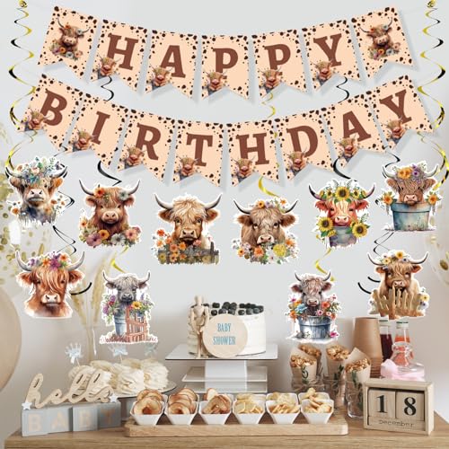 Rngmsi Highland Cow Birthday Decorations – 16-Piece Party Set with Banners and Swirls
