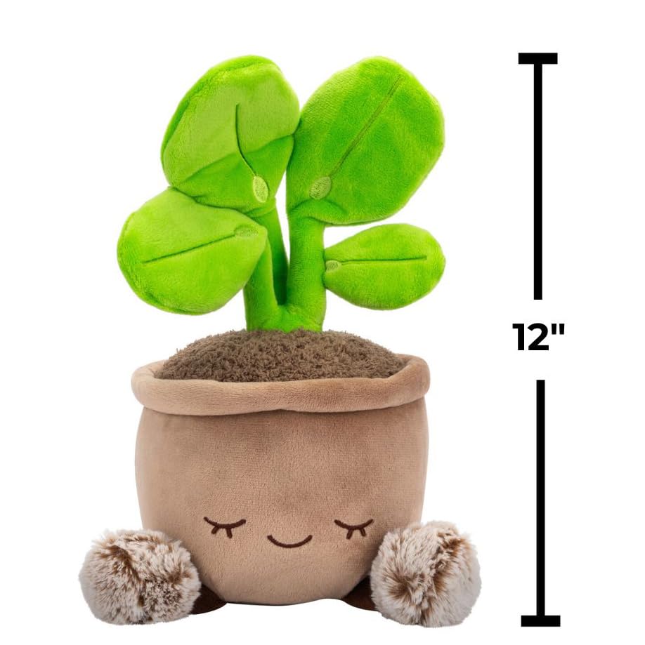 Russ Greenhouse 12-Inch Pilea Plant Plush – Ultrasoft Official Jazwares Toy, Ages 3+