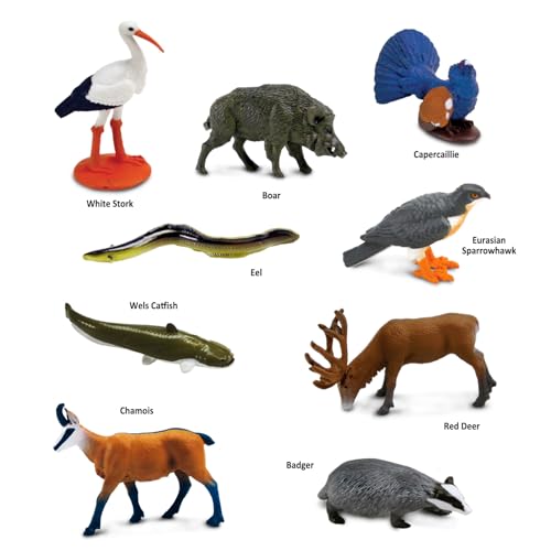 Safari Ltd. European Animals TOOB - 9 Detailed Figurines in Portable Case, Non-Toxic & BPA-Free for Ages 3+