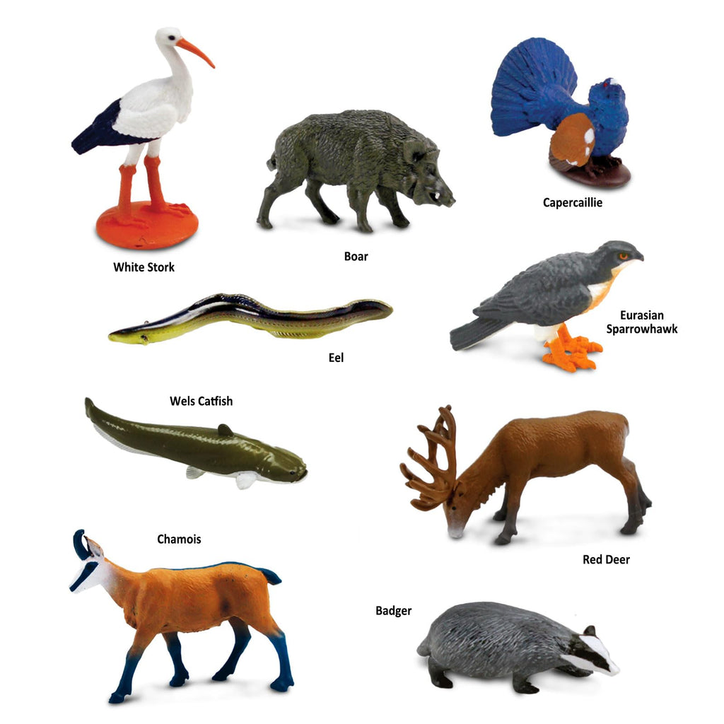 Safari Ltd. European Animals TOOB - 9 Detailed Figurines in Portable Case, Non-Toxic & BPA-Free for Ages 3+