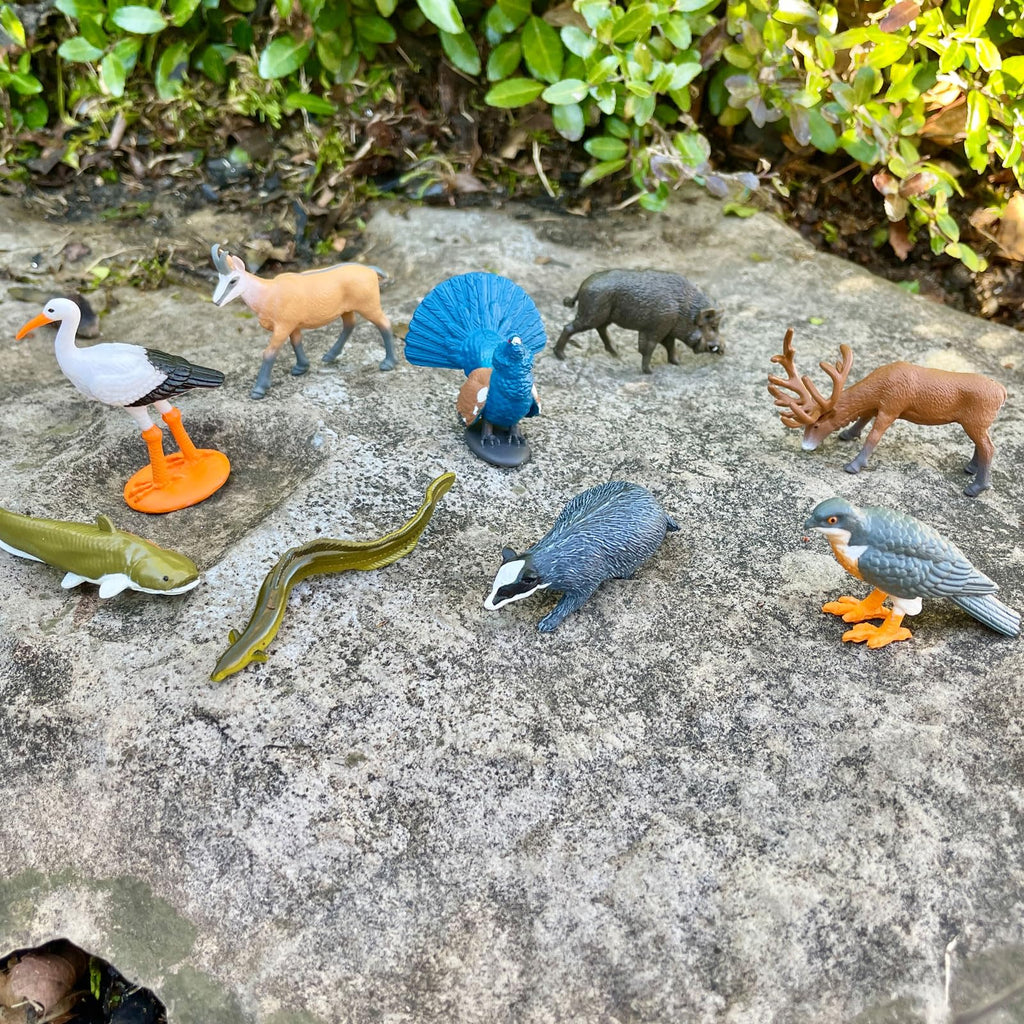 Safari Ltd. European Animals TOOB - 9 Detailed Figurines in Portable Case, Non-Toxic & BPA-Free for Ages 3+