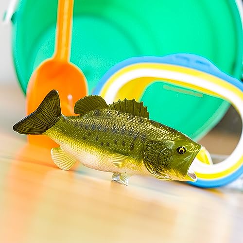 Safari Ltd. Largemouth Bass Figurine – Hand-Painted 6.25 Inch Model, Educational Toy for Kids