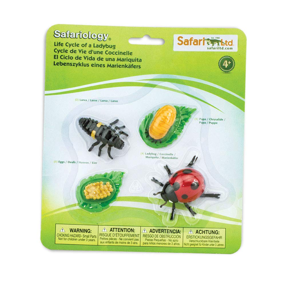 Safari Ltd. Life Cycle of a Ladybug – 4-Figure Educational Toy Set for Ages 4+