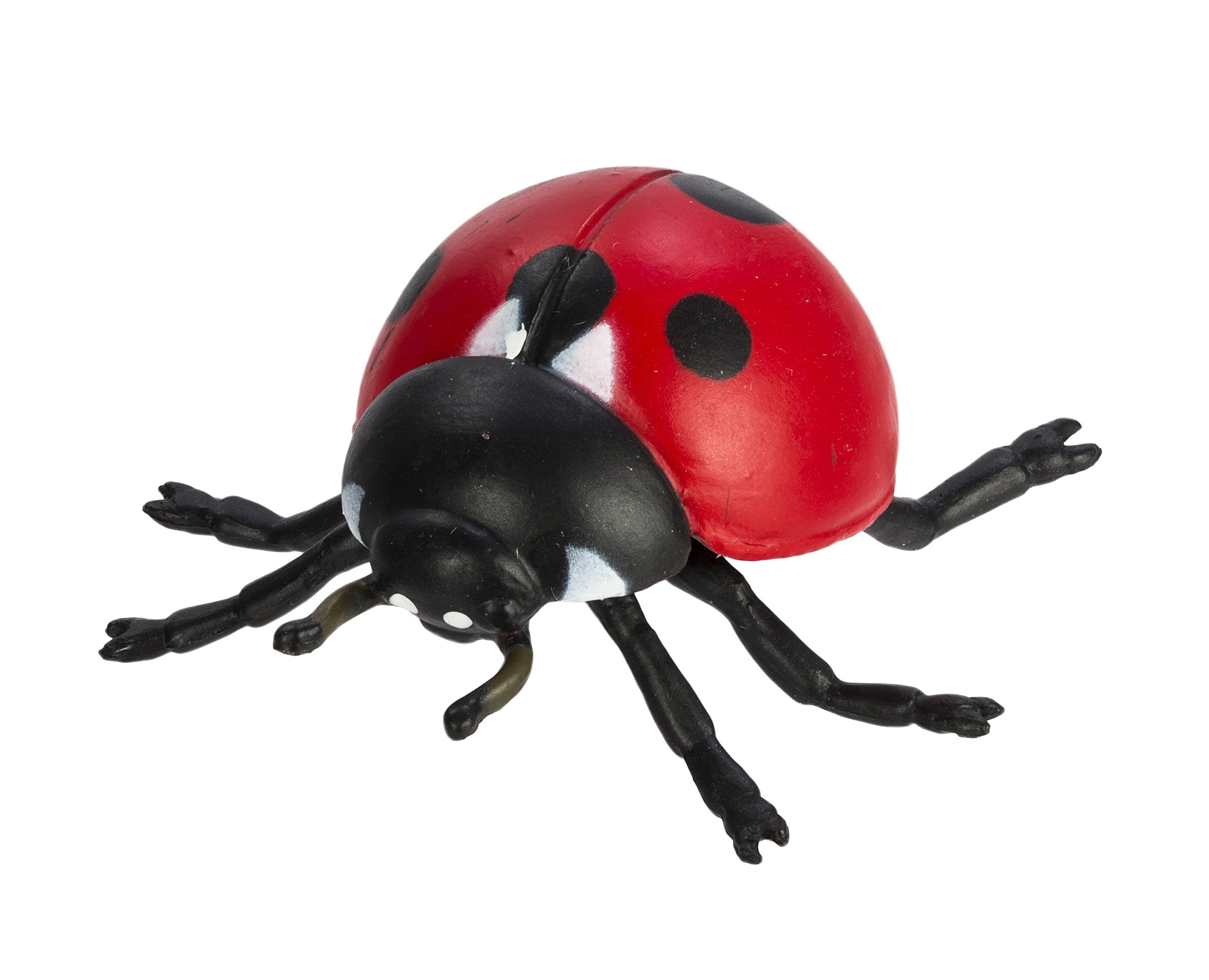 Safari Ltd. Life Cycle of a Ladybug – 4-Figure Educational Toy Set for Ages 4+