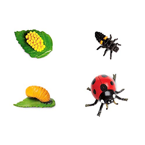 Safari Ltd. Life Cycle of a Ladybug – 4-Figure Educational Toy Set for Ages 4+