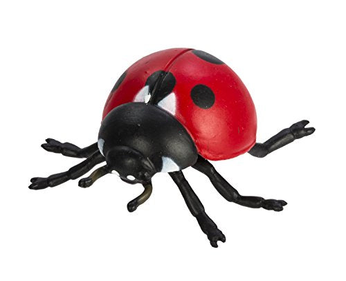 Safari Ltd. Life Cycle of a Ladybug – 4-Figure Educational Toy Set for Ages 4+