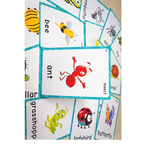 SANTSUN Insect & Bugs Flashcards - 14 Learning Cards with Ring for Toddlers, Kindergarten Classroom Decor
