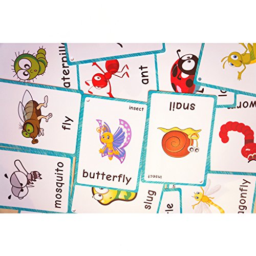 SANTSUN Insect & Bugs Flashcards - 14 Learning Cards with Ring for Toddlers, Kindergarten Classroom Decor
