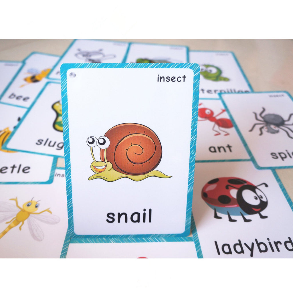 SANTSUN Insect & Bugs Flashcards - 14 Learning Cards with Ring for Toddlers, Kindergarten Classroom Decor