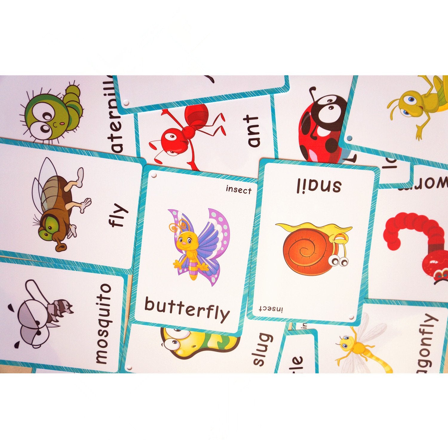 SANTSUN Insect & Bugs Flashcards - 14 Learning Cards with Ring for Toddlers, Kindergarten Classroom Decor