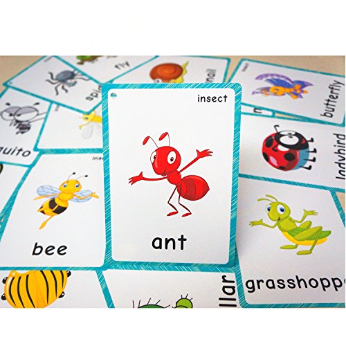 SANTSUN Insect & Bugs Flashcards - 14 Learning Cards with Ring for Toddlers, Kindergarten Classroom Decor