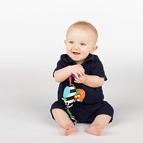 Sassy Boppin’ Birdie – High-Contrast Plush Toy with Chime and Strap for Newborns