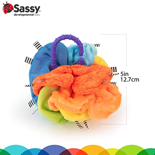 Sassy Crinkle Ball – Sensory Toy with Crinkle Textures for Ages 3+ Months
