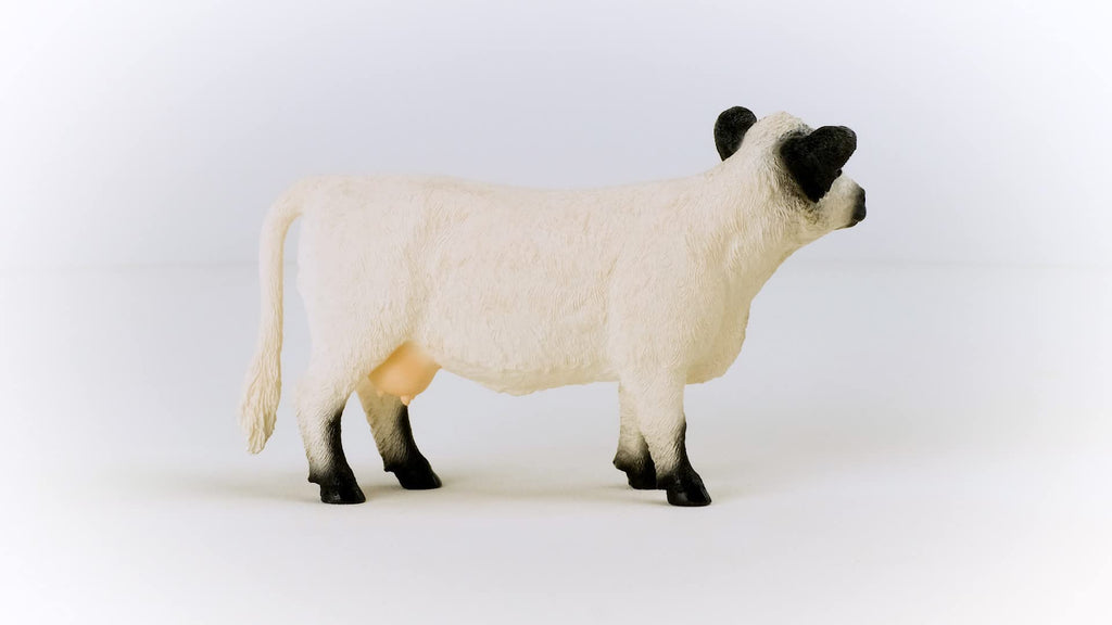 Schleich Galloway Cow Figurine - Realistic Farm Animal Toy for Kids Ages 3+