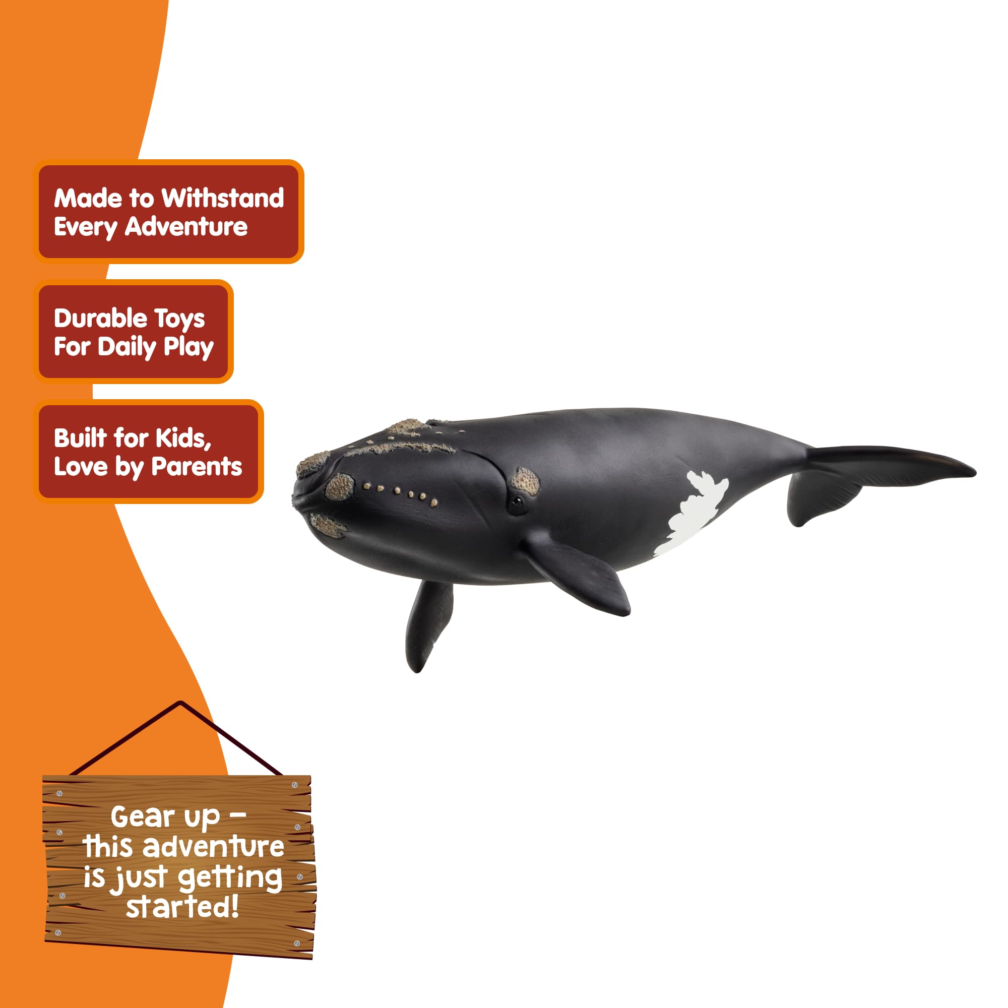 Schleich North Atlantic Right Whale Toy – 7 Inch Realistic Figurine for Kids Ages 3+