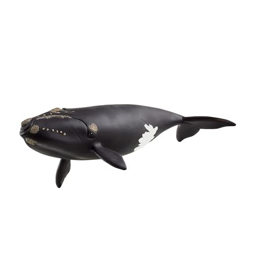 Schleich North Atlantic Right Whale Toy – 7 Inch Realistic Figurine for Kids Ages 3+