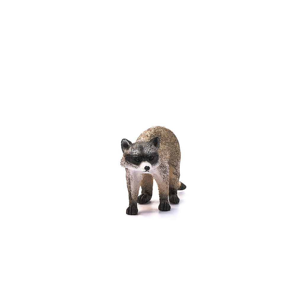 Schleich Raccoon Figurine – Realistic Wild Life Toy for Kids Ages 3+